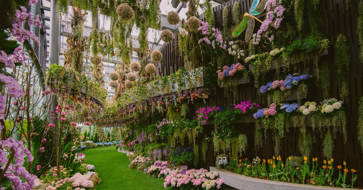Floral Fantasy at Gardens by the Bay Reopens with Vibrant Blooms - BYKidO