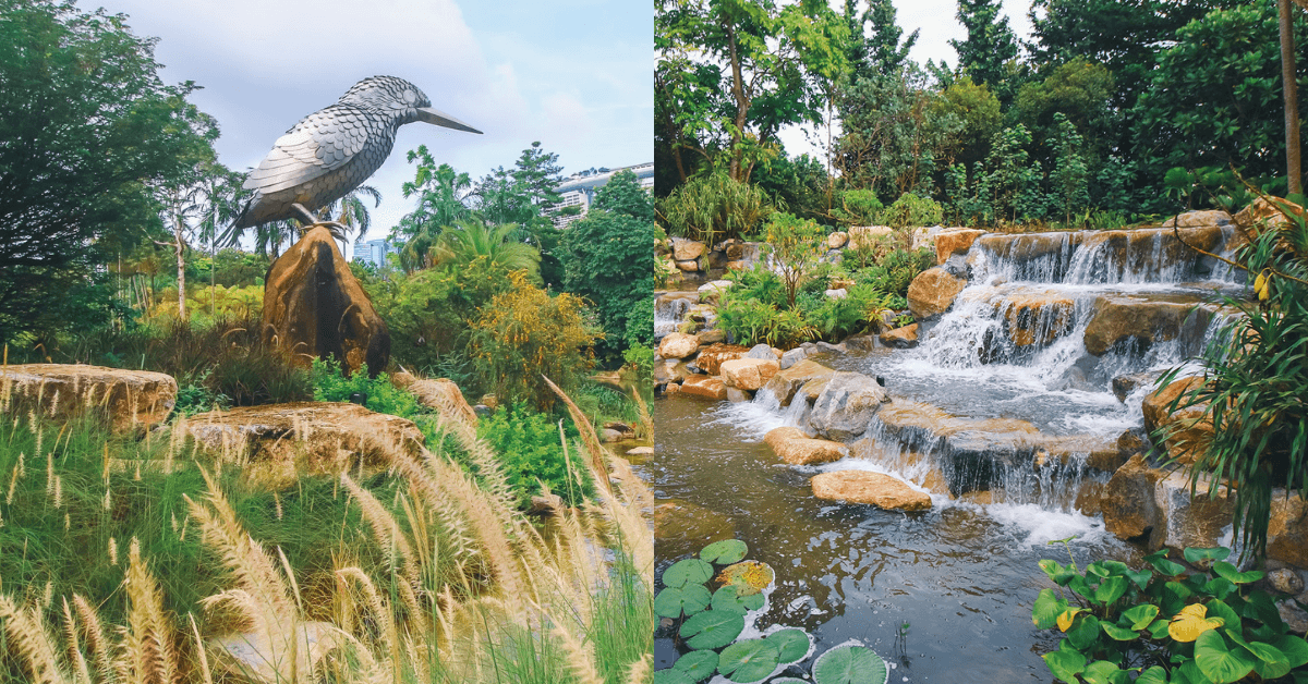 Kingfisher Wetlands @ Gardens by the Bay | A New Nature Sanctuary For Families - BYKidO