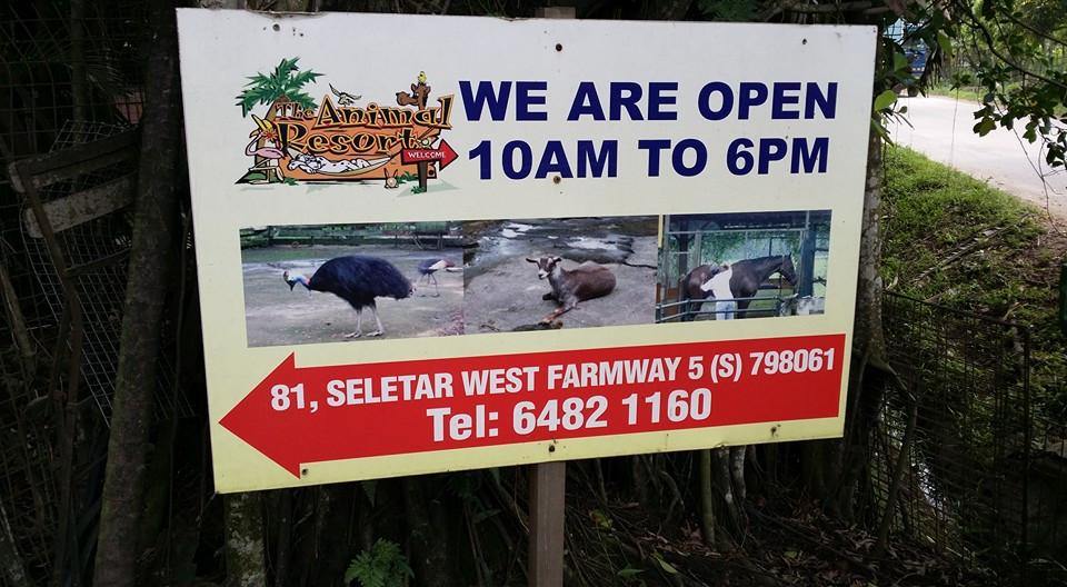 Things to do this Weekend - The Animal Resort (Closed) - BYKidO