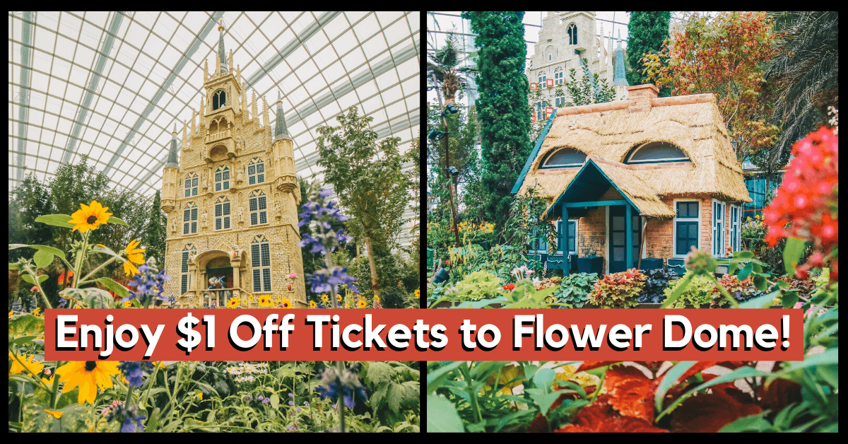 Only Flower Dome At Gardens by the Bay Opening From 1 July 2020 - BYKidO