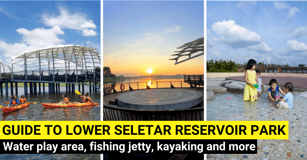 A Family's Guide To Visiting Lower Seletar Reservoir Park