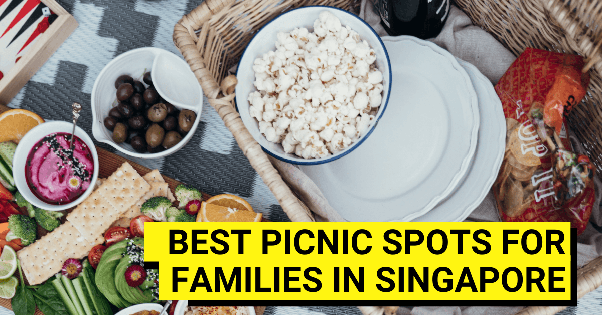Best Places For A Family Picnic In Singapore