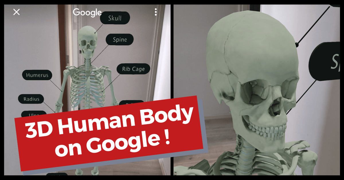 BioDigital Human | 3D Anatomy Online Visualiser on Google - BYKidO