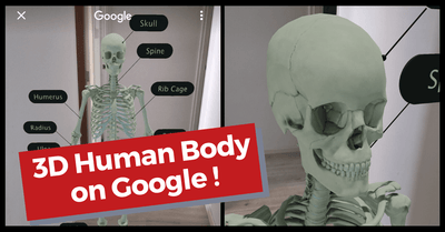 BioDigital Human | 3D Anatomy Online Visualiser on Google