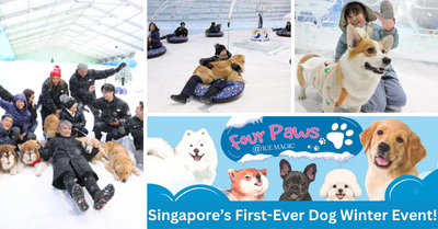 Ice Magic Unveils Singapore’s First-Ever Dog Winter Event, 4 Paws @ Ice Magic!