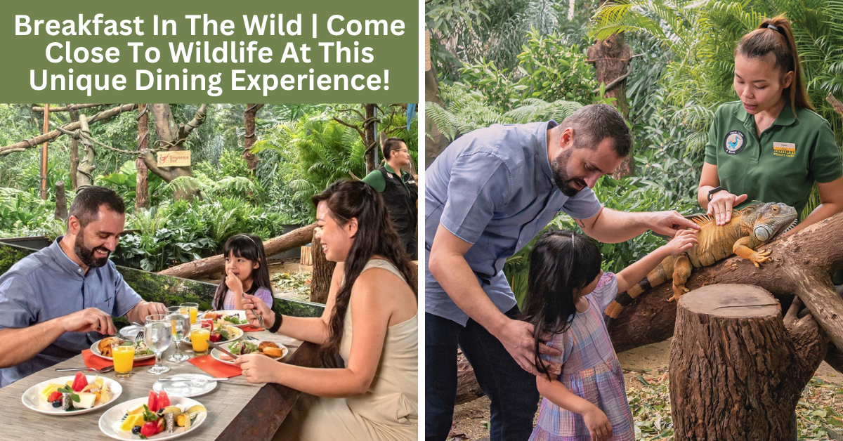Singapore Zoo Launches Its All-New Signature Breakfast Programme, Breakfast In The Wild