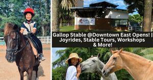 Gallop Stable @Downtown East Opens! | Get Ready For Up-Close Encounters With Horses And Many Other Exciting Experiences!