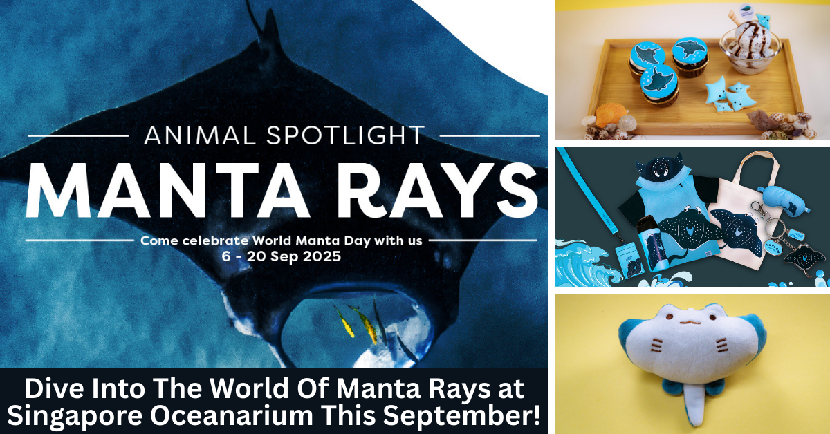 Singapore Oceanarium Marks World Manta Day with Immersive Experiences