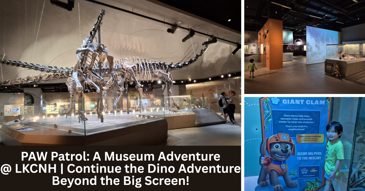 PAW Patrol: A Museum Adventure at LKCNH Brings the Dino Adventure Beyond the Big Screen