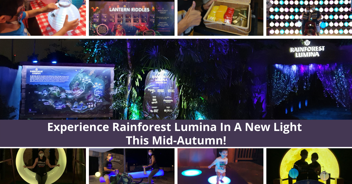 Celebrate A Luminous Mid-Autumn Festival At Rainforest Lumina! - BYKidO