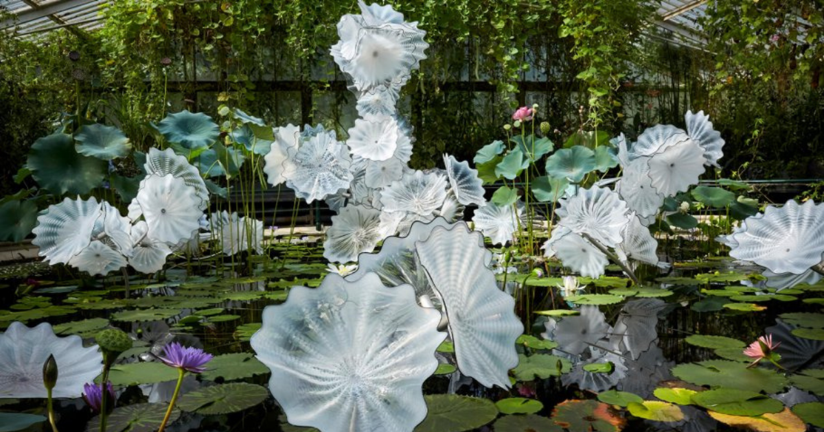 Breathtaking Glass Sculptures by Artist Dale Chihuly Set to Bloom at Gardens by the Bay - BYKidO