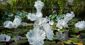 Breathtaking Glass Sculptures by Artist Dale Chihuly Set to Bloom at Gardens by the Bay