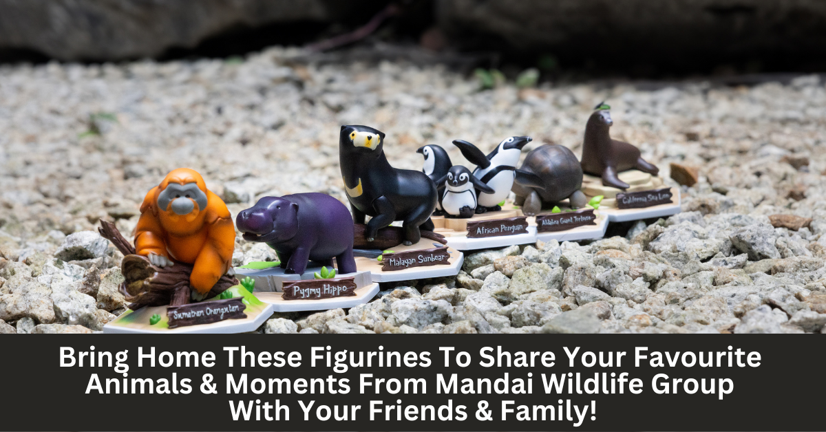 Mandai Wildlife Group Teams Up With Collectibles Producer, XM Studios, To Create Exclusive Zoo-Inspired Figurines
