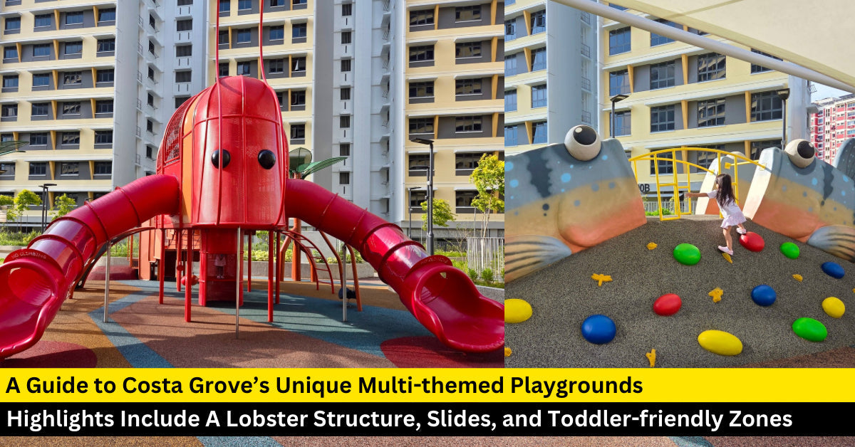 Costa Grove: A Lobster Playground, Mudskipper Slides and More