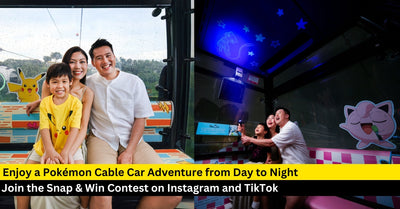 Day-To-Night Adventure with Pokémon’ on The Singapore Cable Car
