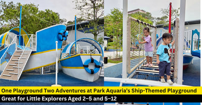 Park Aquaria Playground: Ship-Themed Playgrounds at Pasir Ris