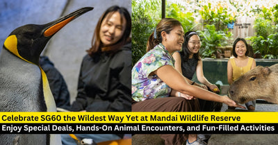 Celebrate SG60 the Wildest Way Yet at Mandai Wildlife Reserve!