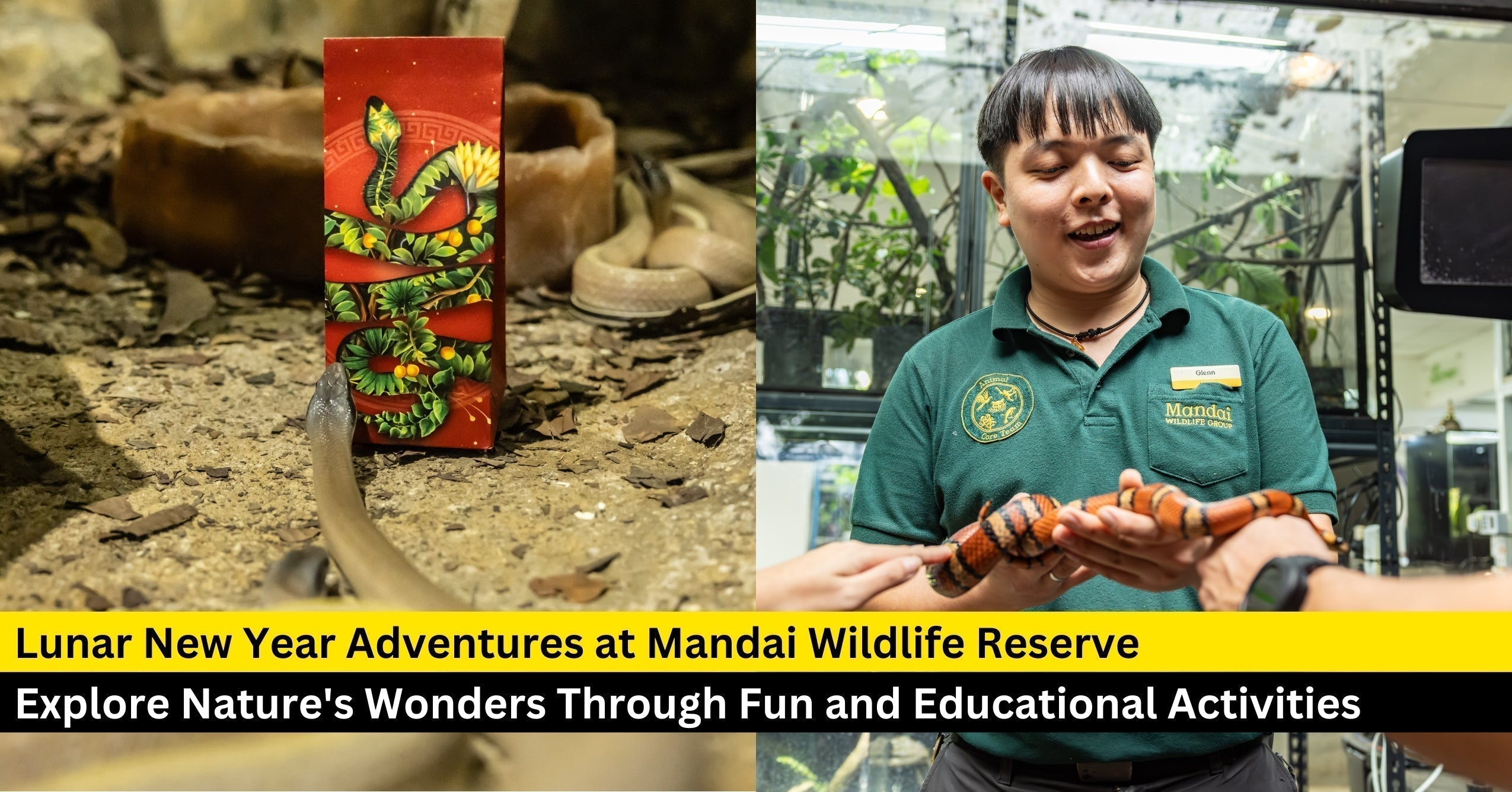 Slither Into a Spectacular Lunar New Year Adventures at Mandai Wildlife Reserve