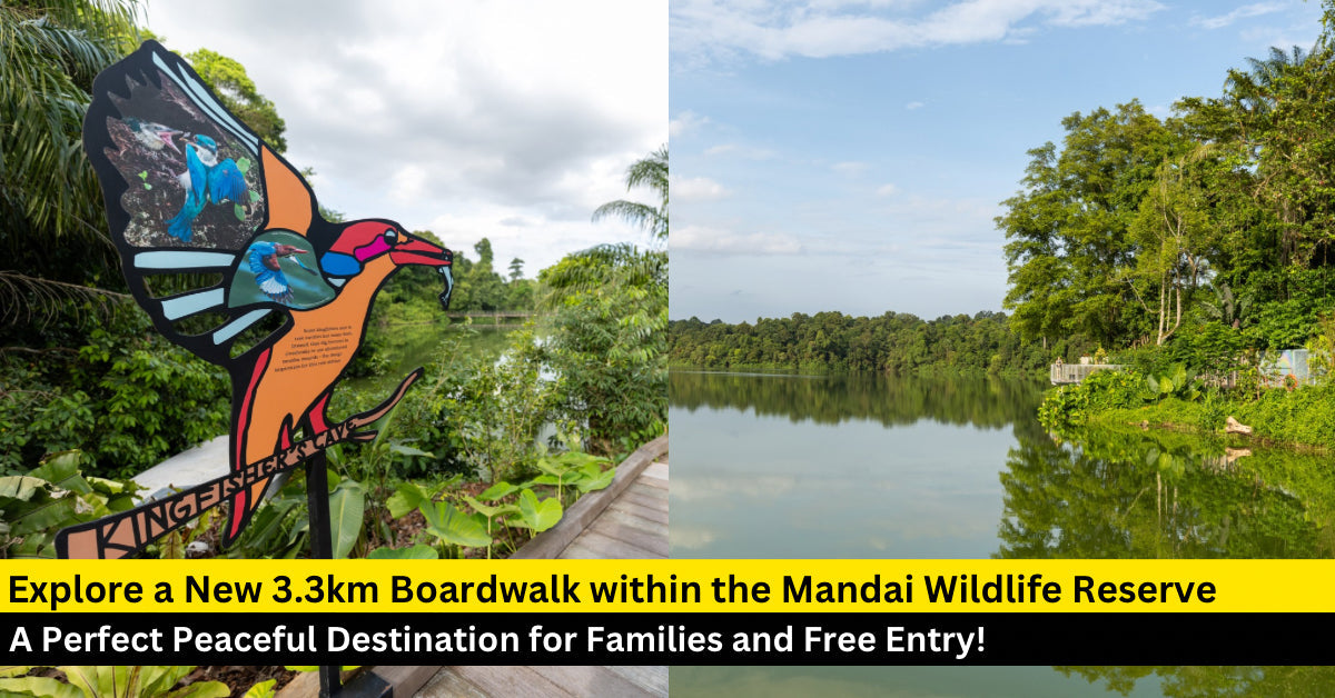 Discover the Newly Opened Mandai Boardwalk: A New Adventure for Families