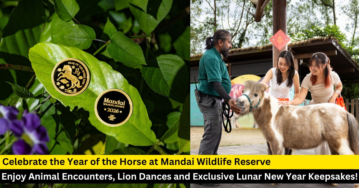 Gallop Into A Horse-picious Lunar New Year at the Mandai Wildlife Reserve