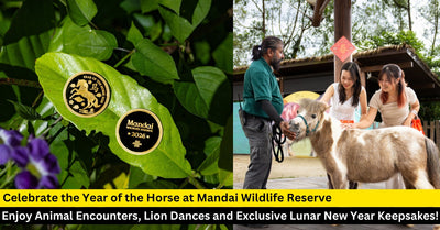 Gallop Into A Horse-picious Lunar New Year at the Mandai Wildlife Reserve