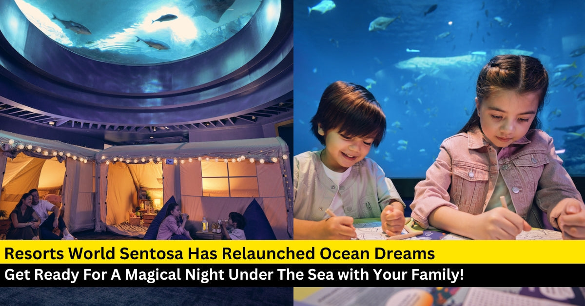 Experience Glamping Like Never Before with Ocean Dreams at Singapore Oceanarium