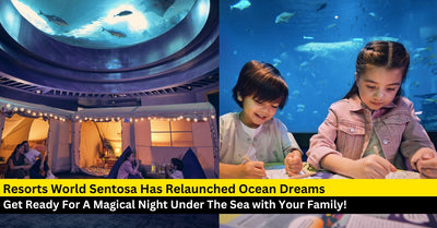 Experience Glamping Like Never Before with Ocean Dreams at Singapore Oceanarium
