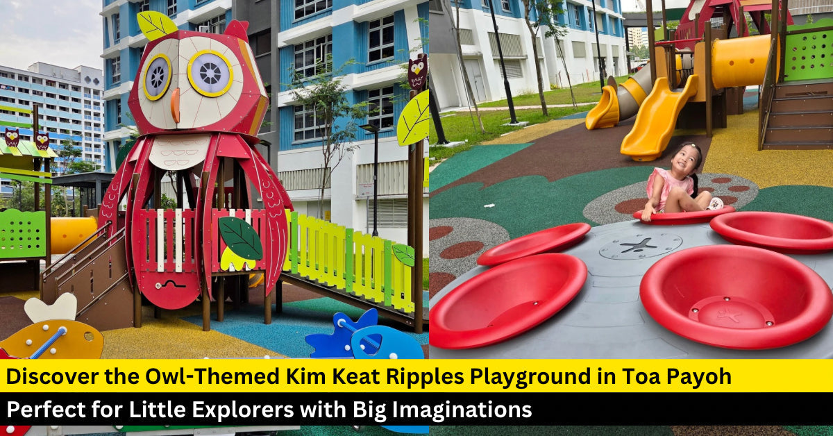 Kim Keat Ripples Playground: An Owl-Themed Playground in Toa Payoh