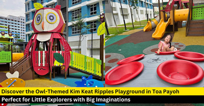 Kim Keat Ripples Playground: An Owl-Themed Playground in Toa Payoh