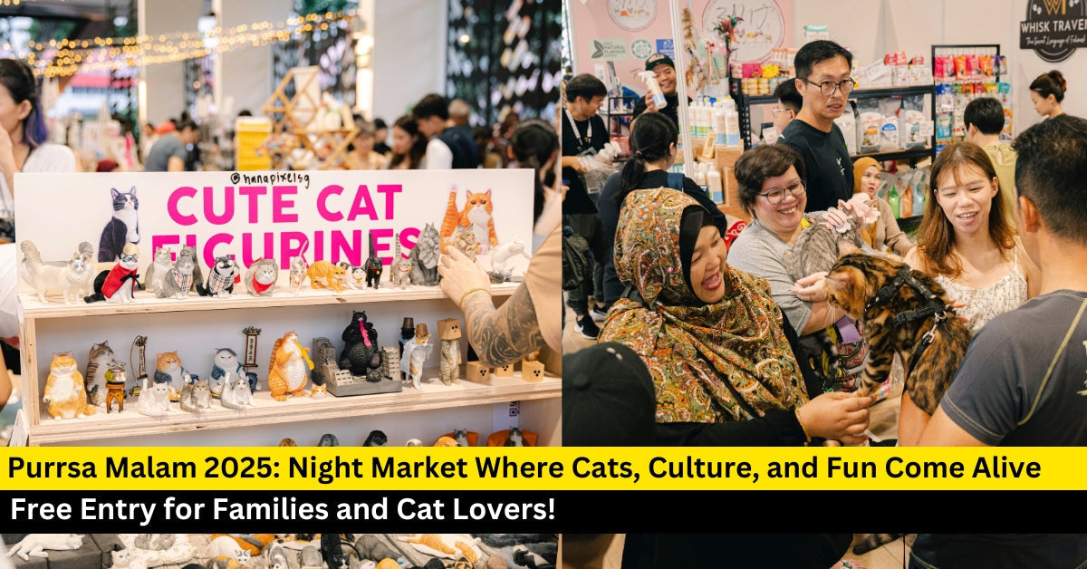 Purrsa Malam 2025: A Night Market Celebrating Cats and Culture
