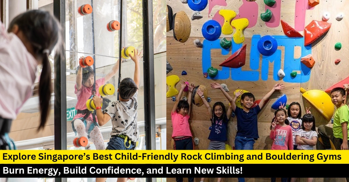 17 Rock Climbing and Bouldering Gyms for Kids & Families
