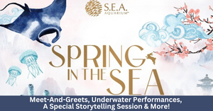 Celebrate The Year Of The Water Rabbit At S.E.A Aquarium With Festive Meet-And-Greets, Underwater Performances And More!