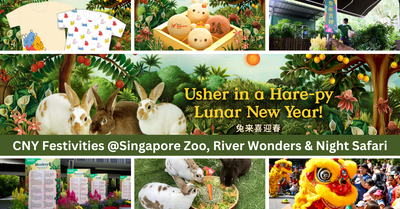 Usher In A Hare-Py Lunar New Year At Mandai Wildlife Reserve