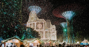 Christmas Wonderland at Gardens by the Bay | A Wintry Wonderland in Sunny Singapore