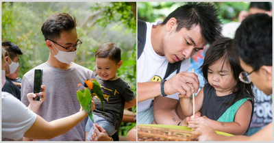 Bring Grandma and Grandpa to Jurong Bird Park This September For $1