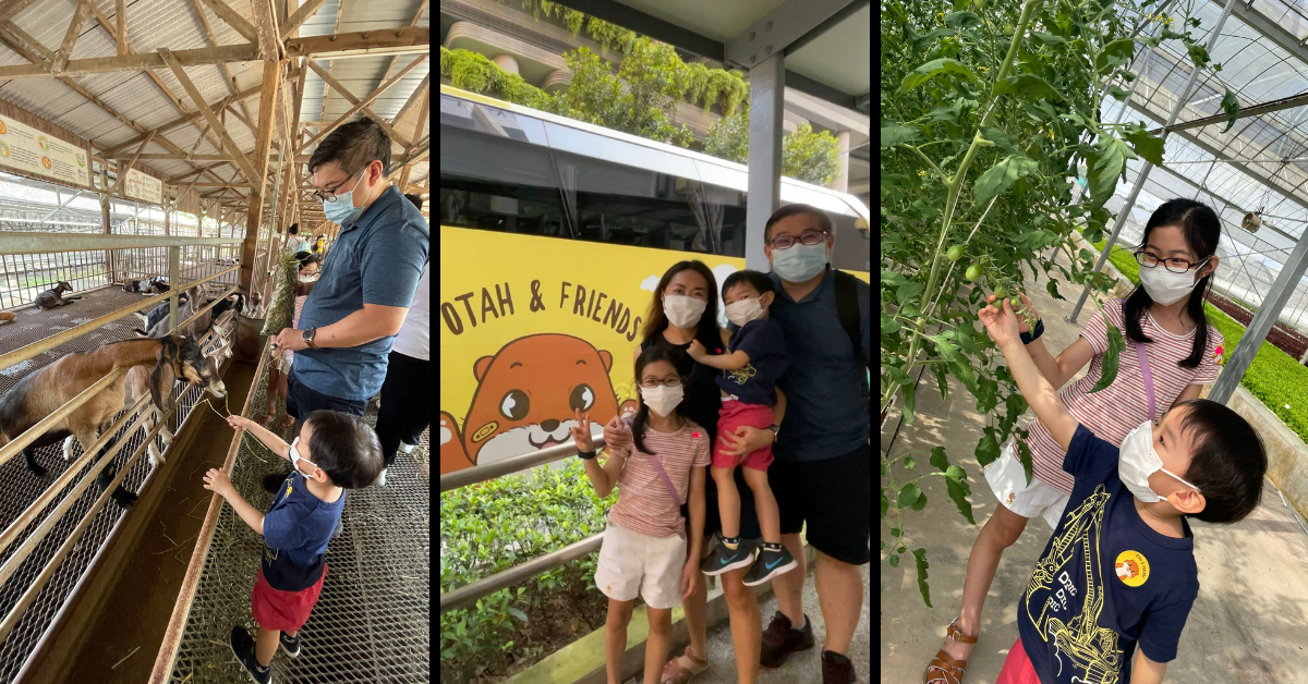 Review: Exploratory Hands-on Farms Tour on the Otah & Friends Bus