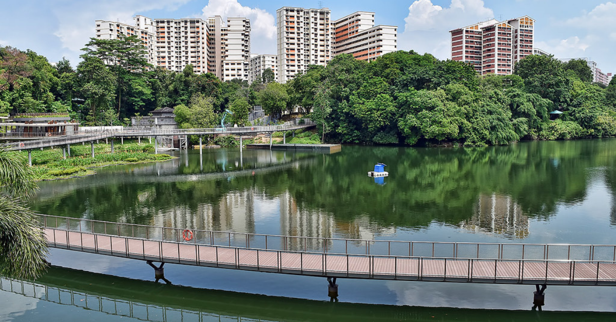 Pang Sua Ponds - ABC Waters At Bukit Panjang - BYKidO
