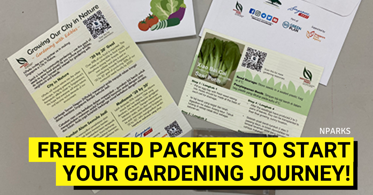 NPark's Gardening With Edibles Programme To Distribute Free Seed Packets - BYKidO