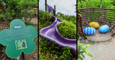 Butterfly Maze At Jurong Lake Garden | Play While Interacting With Nature
