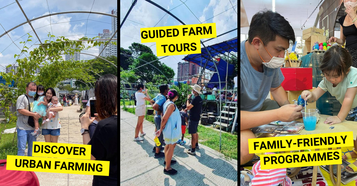 Sprout Hub - Urban Farm, Green Spaces, Messy Playground And More