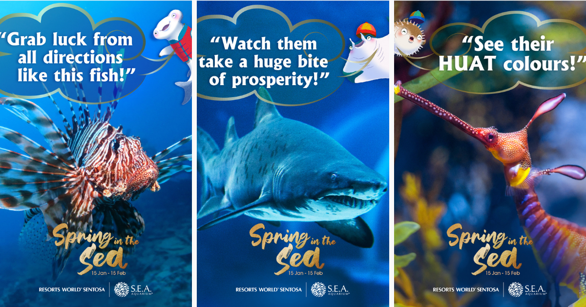 Celebrate the Year of the Tiger and Joyous New Beginnings With S.E.A Aquarium - BYKidO