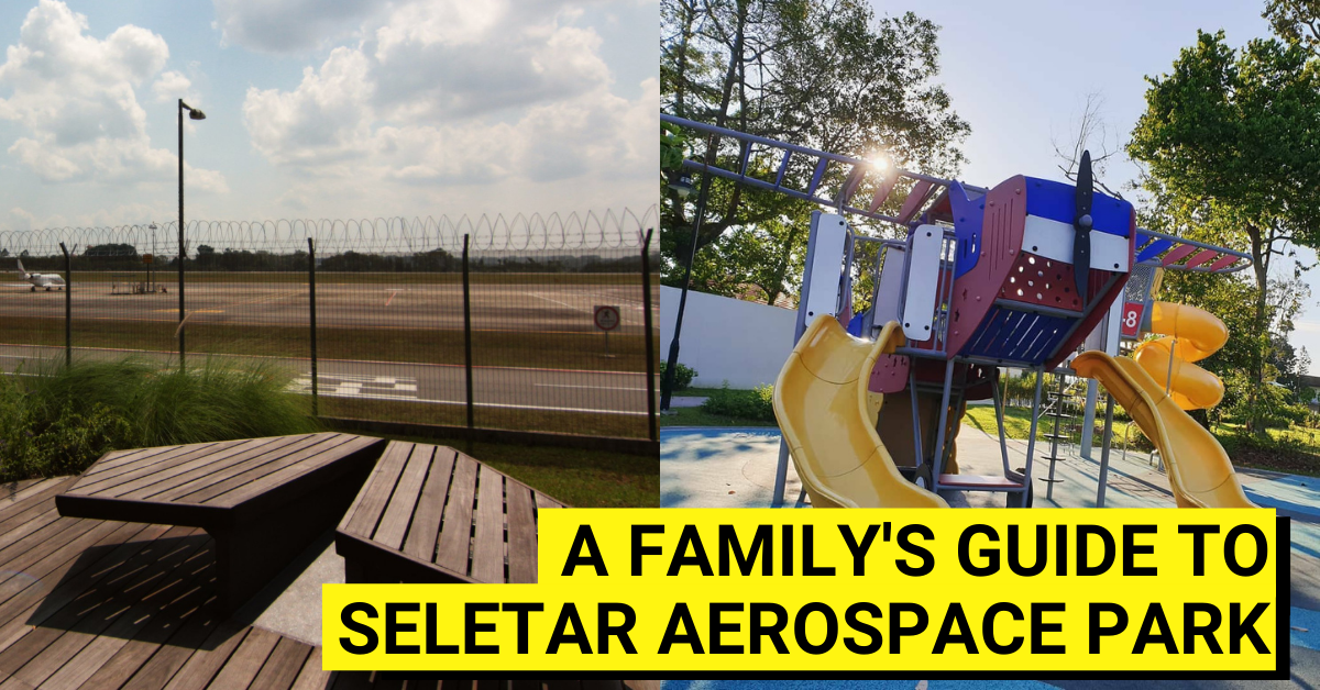 A Family's Guide To Visiting Seletar Aerospace Park