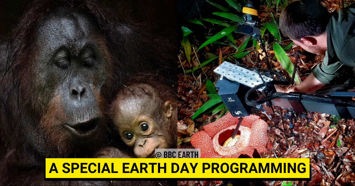 Celebrate Earth Day with BBC Earth’s Earth Day Special