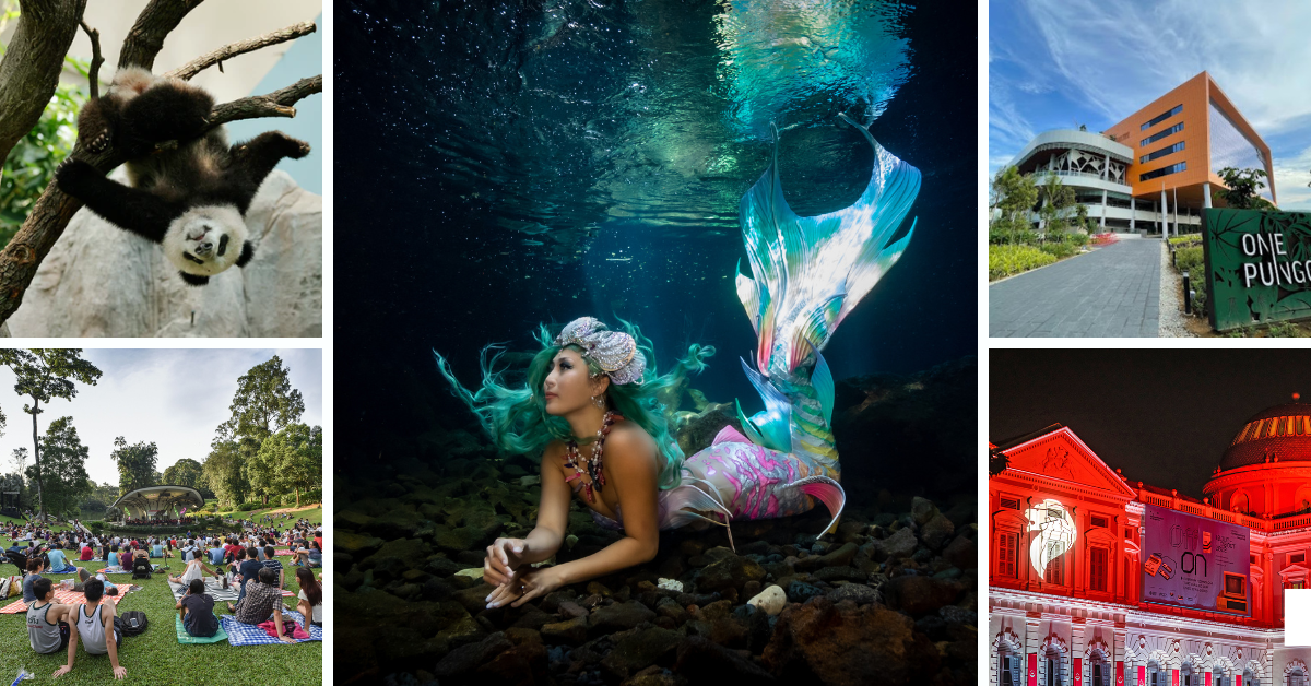 The Best Things To Do With Kids In Singapore This Week (1 - 7 Aug 2022)