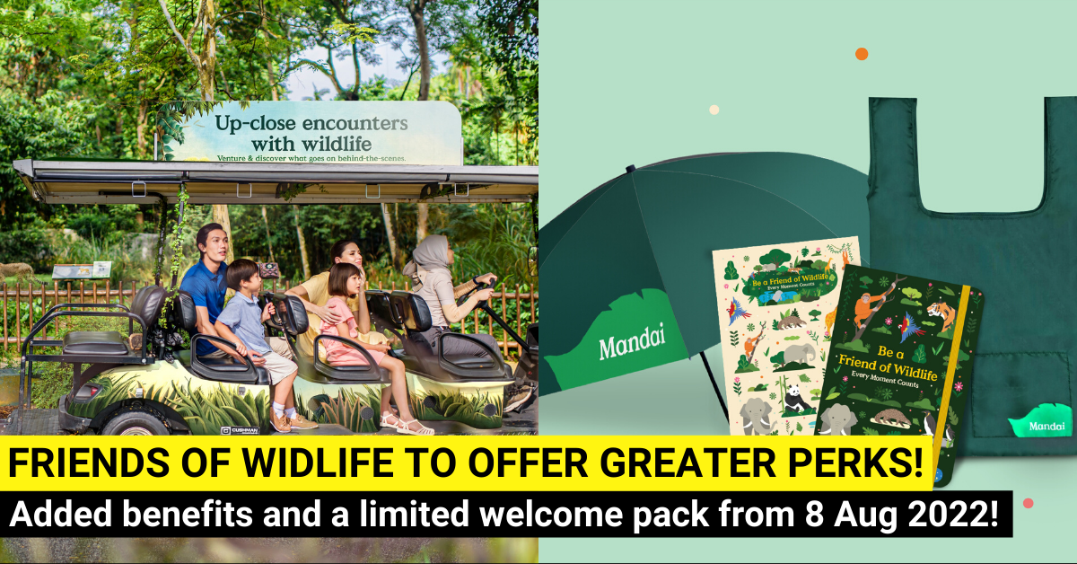 A Refreshed Friends Of Wildlife Awaits!