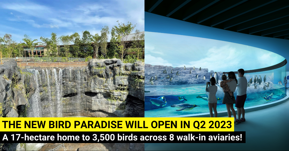 Singapore's Bird Paradise To Open In 2023 with 8 Walk-in Aviaries And 2 Play Areas!