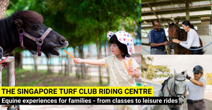 Equine Experiences At The Singapore Turf Club Riding Centre - Indoor & Outdoor Arena With 60 Horses & Ponies