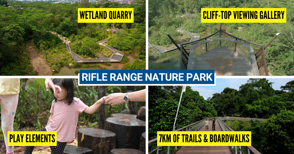 Newly Opened Rifle Range Nature Park Offers 7km-long Trails, Rain Gard ...