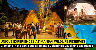 Glamping and Unique Experiences at the Mandai Wildlife Reserve