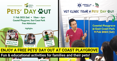 Fun and Educational Pet Activities for the Whole Family: NParks' Pets' Day Out